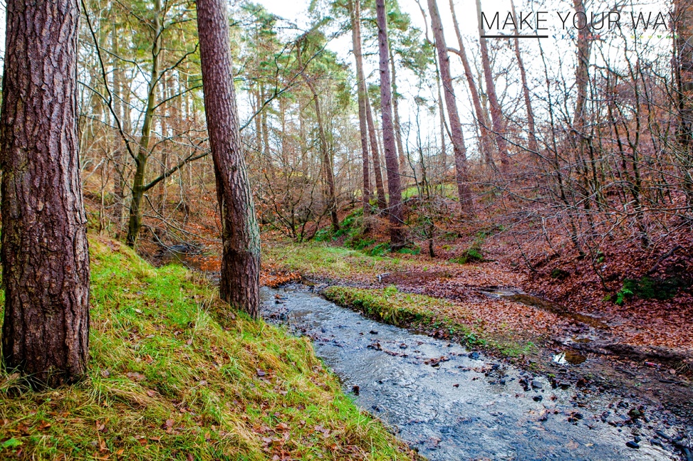 Jock's Burn (C) Archibald Photography Ltd