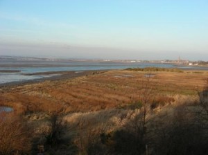 Salt Pans - Feb 2008 (c) Scottish Wildlife Trust