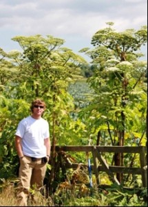 Giant Hogweed (c) South Esk Partnership