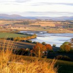Montrose Basin (c) Scottish Wildlife Trust