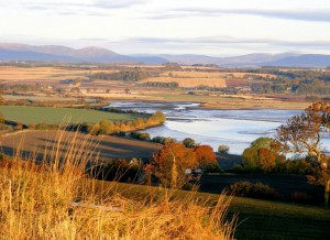 Montrose Basin (c) Scottish Wildlife Trust