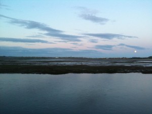 Montrose Basin twilight (c) Adam McClure