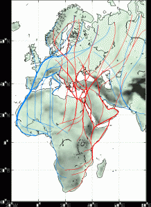European Migration Routes (c) SE European Bird Migration Network