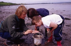 Mud Activity (c) SWT