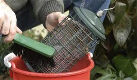 Tips for Maintaining a Clean Bird Cage