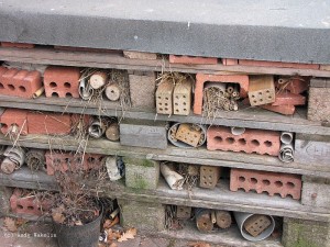 Detailed picture of our Insect Hotel (c) Andy Wakelin