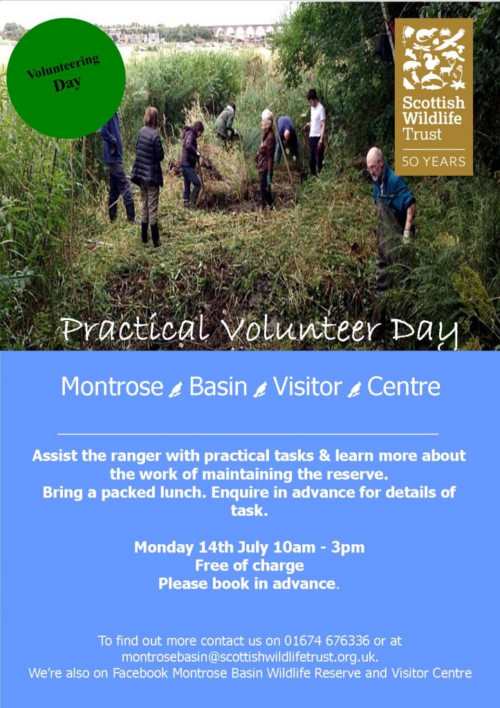 July Practical Volunteer Day (c) SWT