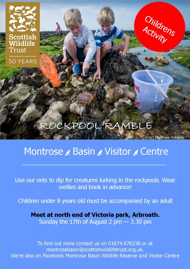 Rockpool ramble (c) SWT