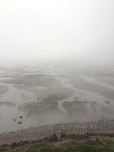 Montrose Basin covered in mist (c) Scottish Wildlife Trust