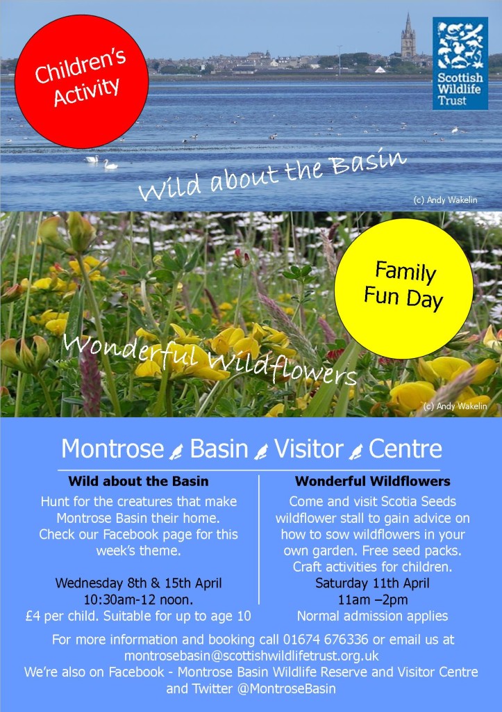 Wildflower and kids event April
