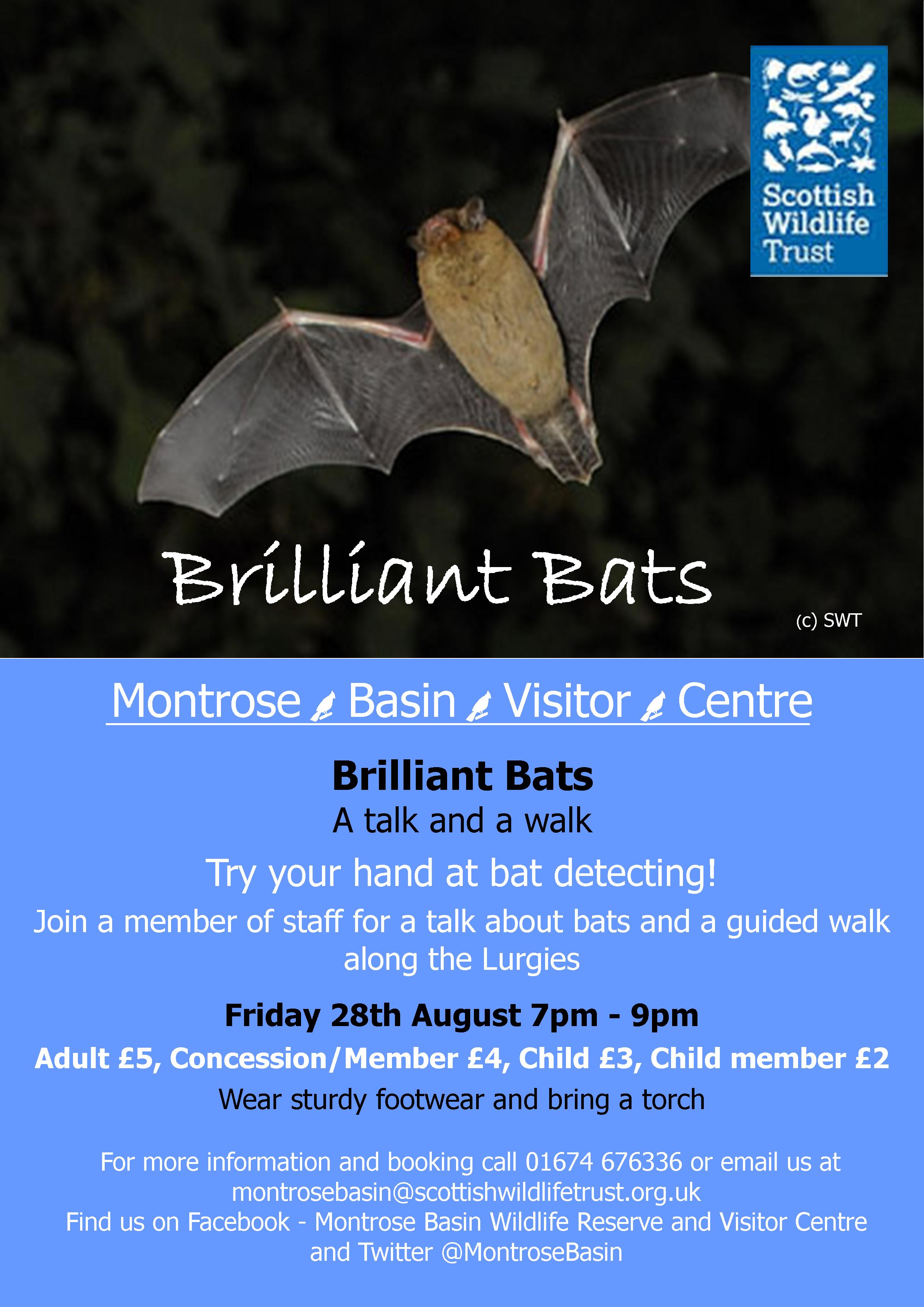 Brilliant Bats