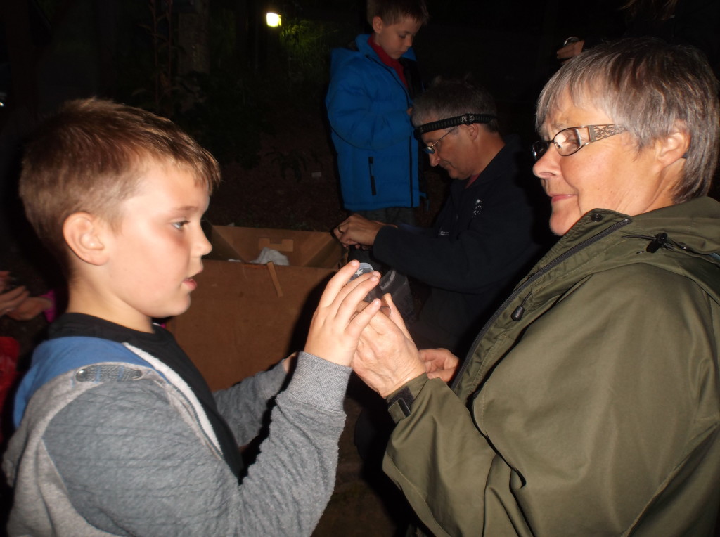 Moth enthusiasts of all ages. (c) Alison O'Hara