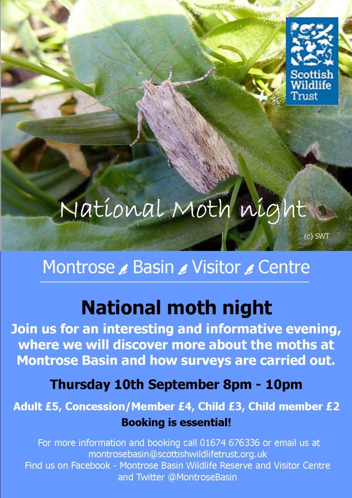 National Moth night