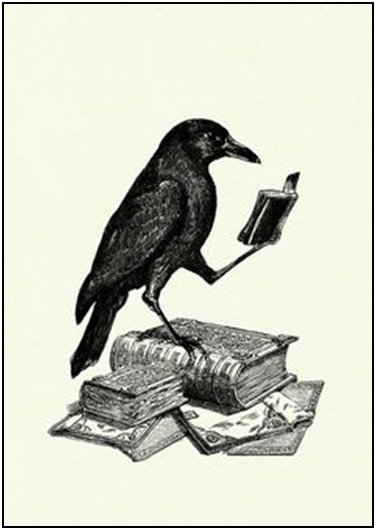 smart crow