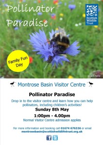 Pollinator Paradise May 2016