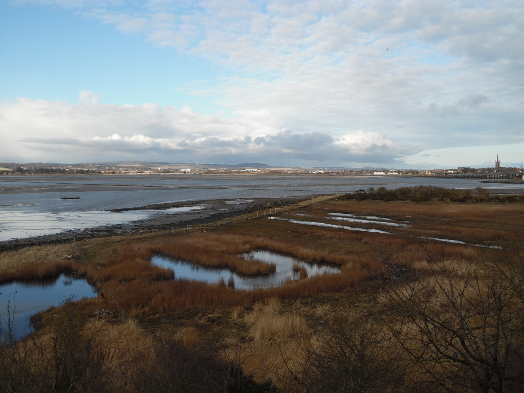 The unmistakable profile of Montrose town - Marika Davoli