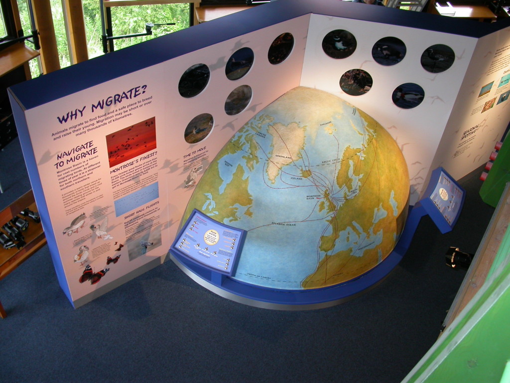 Migration globe